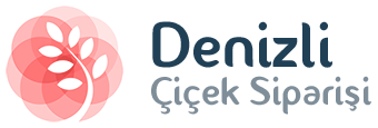 Denizli Çiçek Siparişi logo